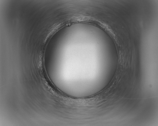 X0000052990010200507221233