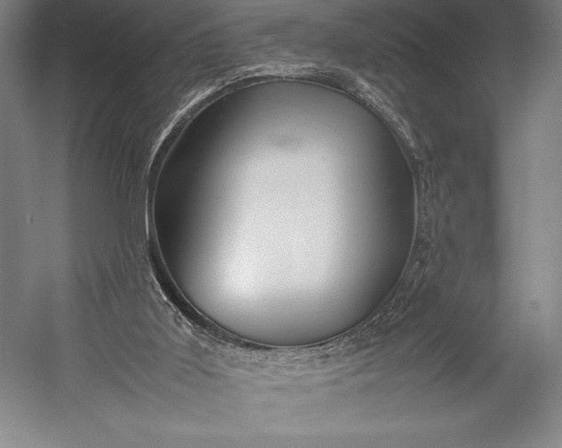 X0000052990011200507221233