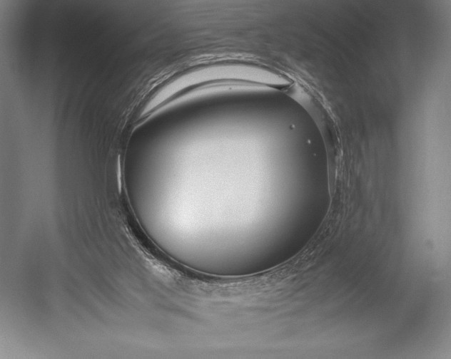 X0000052990013200507221233