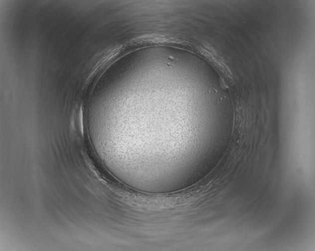 X0000052990014200507221233