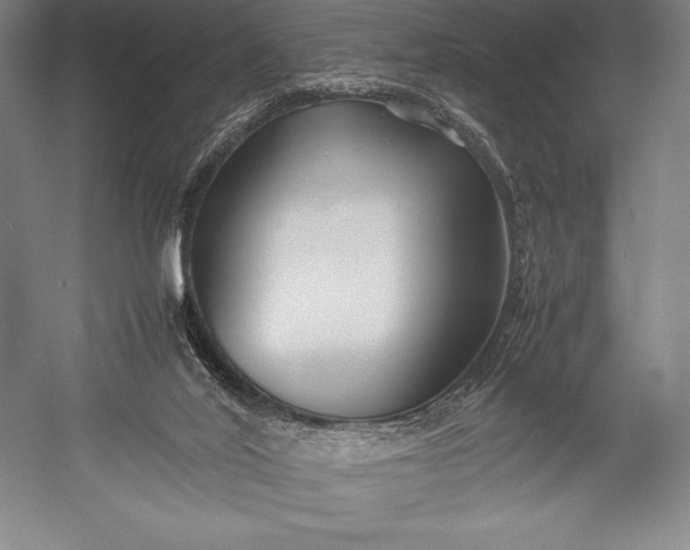 X0000052990020200507221233