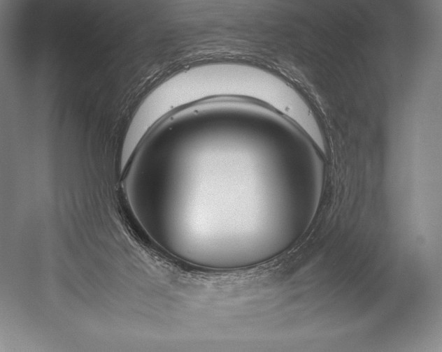X0000052990021200507221233