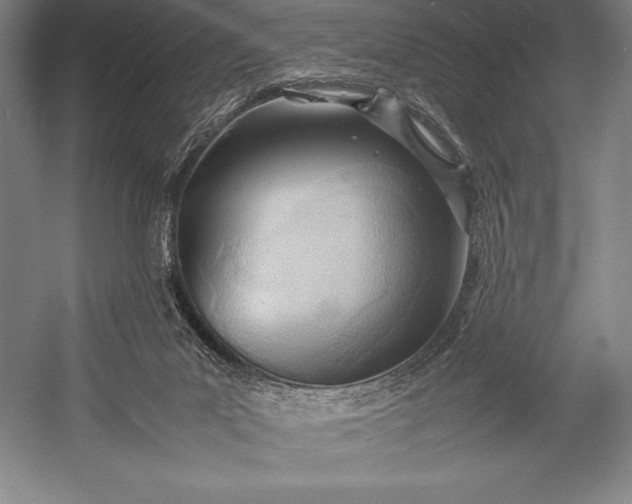 X0000052990023200507221232