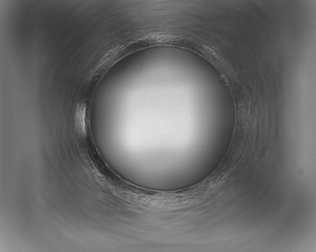 X0000052990024200507221232
