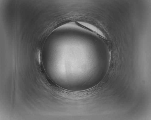 X0000052990027200507221232