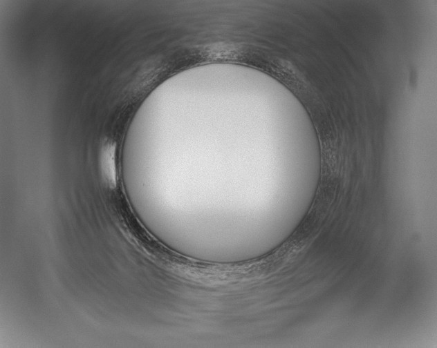 X0000052990028200507221232