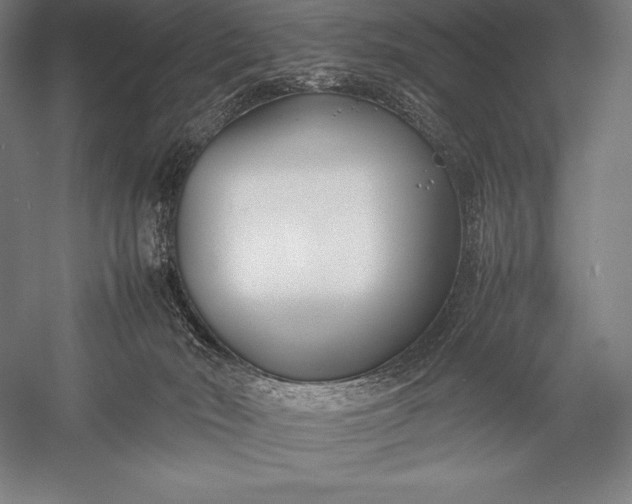 X0000052990030200507221232
