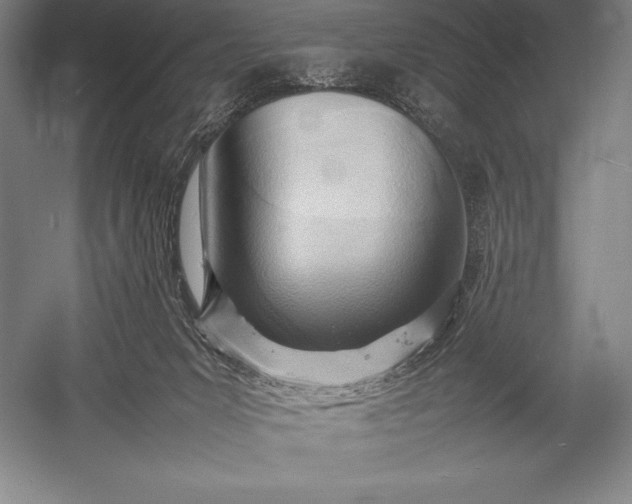 X0000052990031200507221232