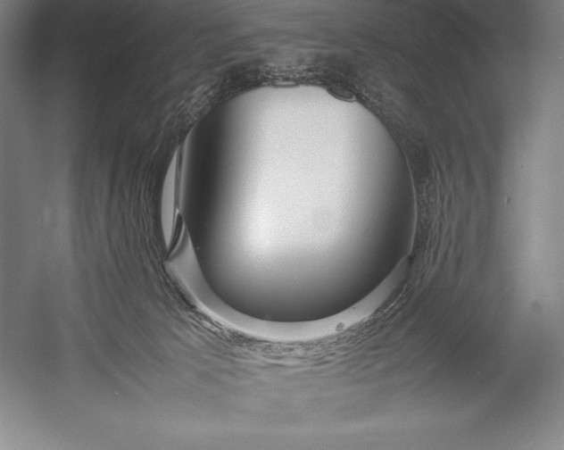 X0000052990033200507221232