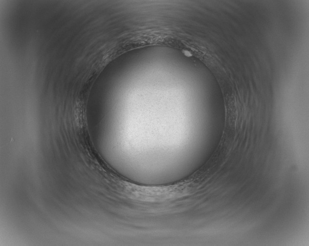 X0000052990034200507221232