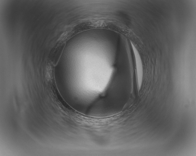X0000052990035200507221232