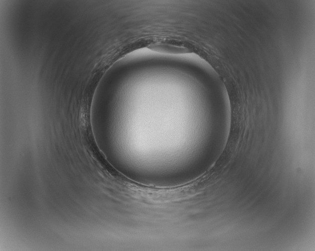 X0000052990039200507221232