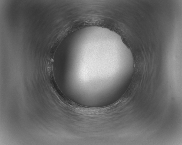 X0000052990040200507221232