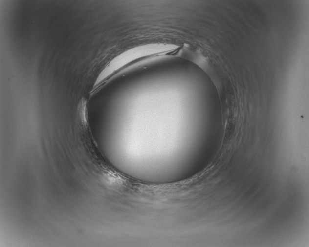 X0000052990041200507221232