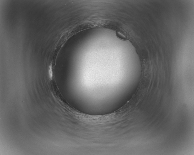X0000052990042200507221232