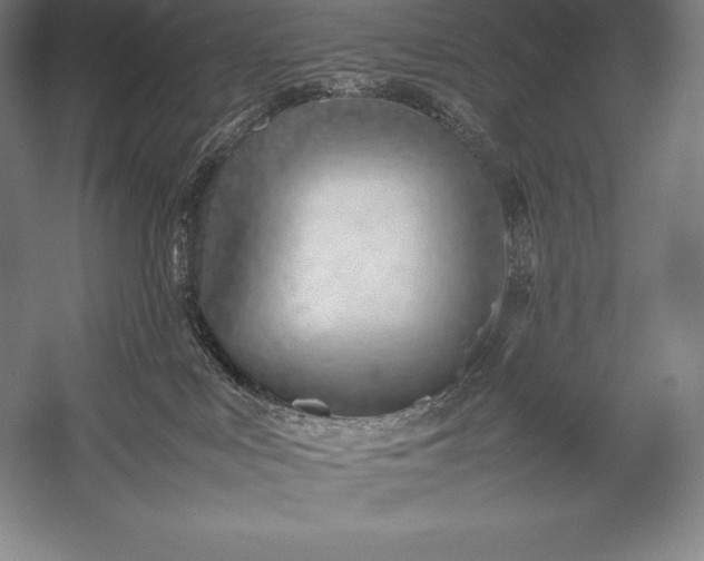 X0000052990043200507221232
