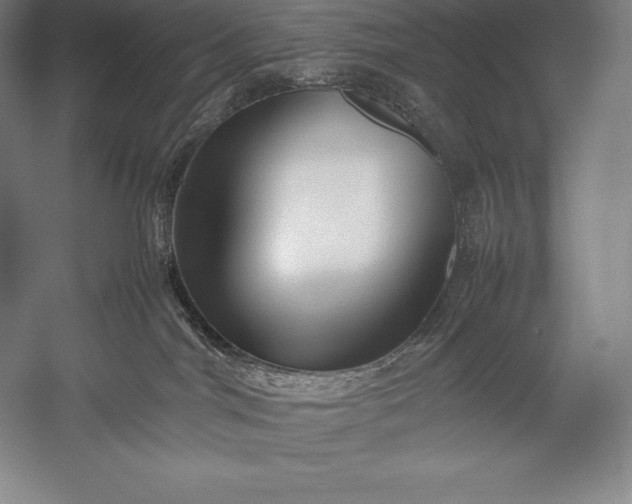 X0000052990044200507221232