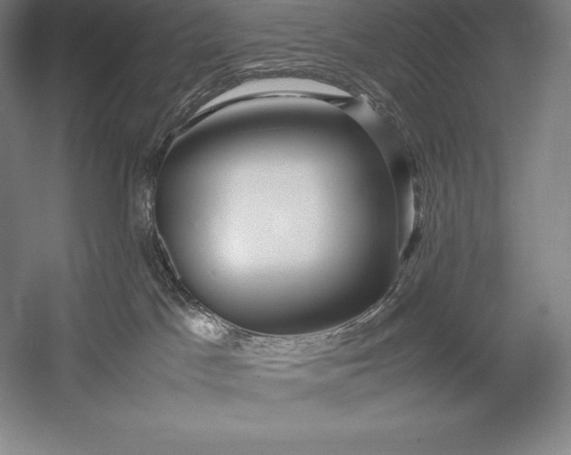 X0000052990045200507221232