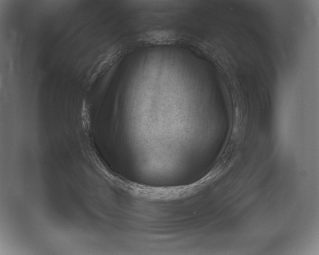 X0000052990048200507221232