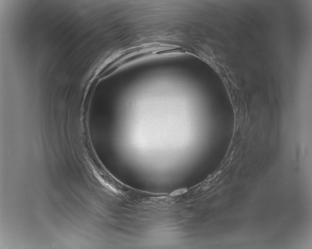 X0000052990050200507221231