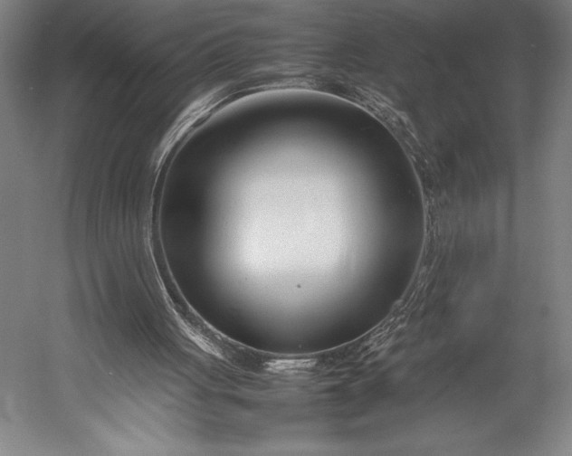 X0000052990051200507221231