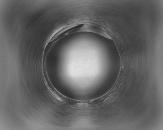 X0000052990052200507221231