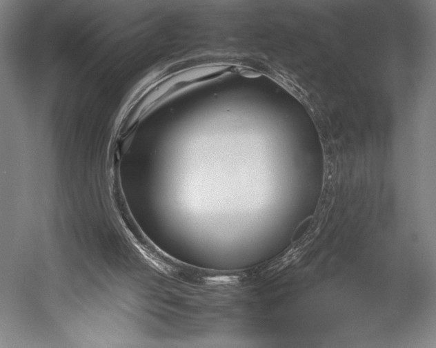 X0000052990053200507221231