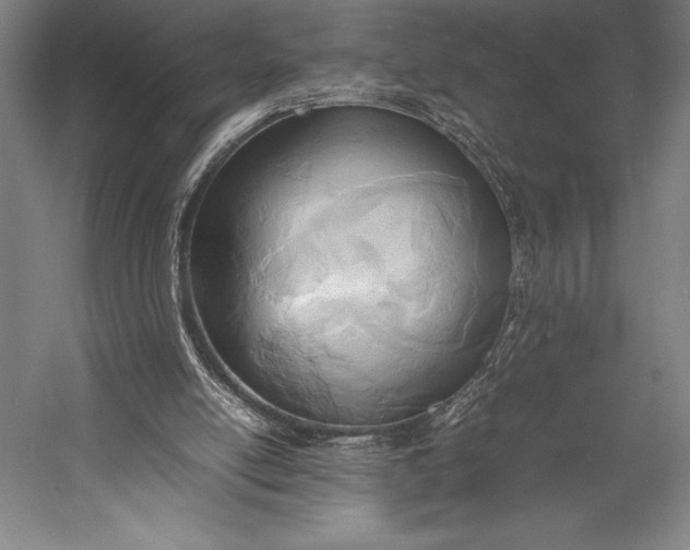 X0000052990054200507221231