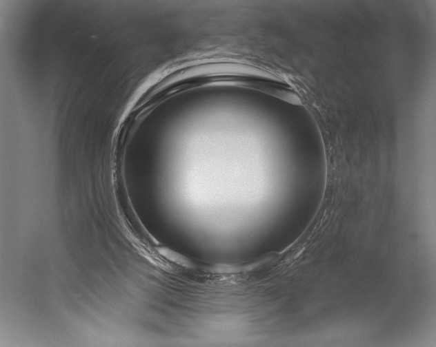 X0000052990056200507221231