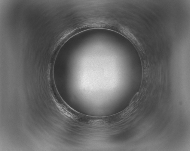 X0000052990058200507221231