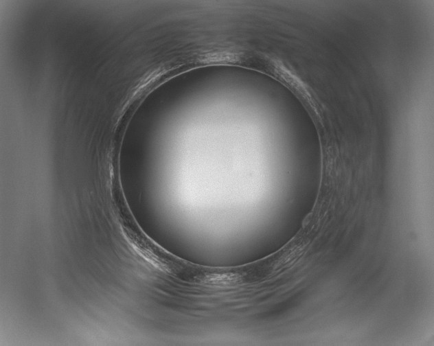 X0000052990059200507221231