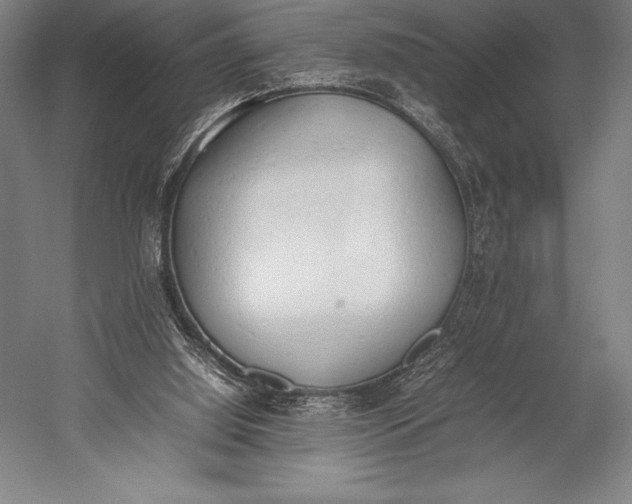 X0000052990060200507221231