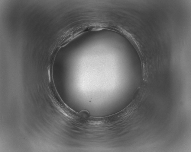X0000052990061200507221231