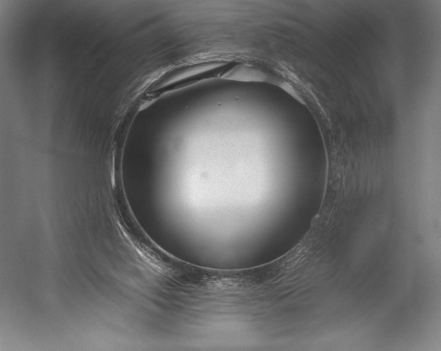X0000052990062200507221231