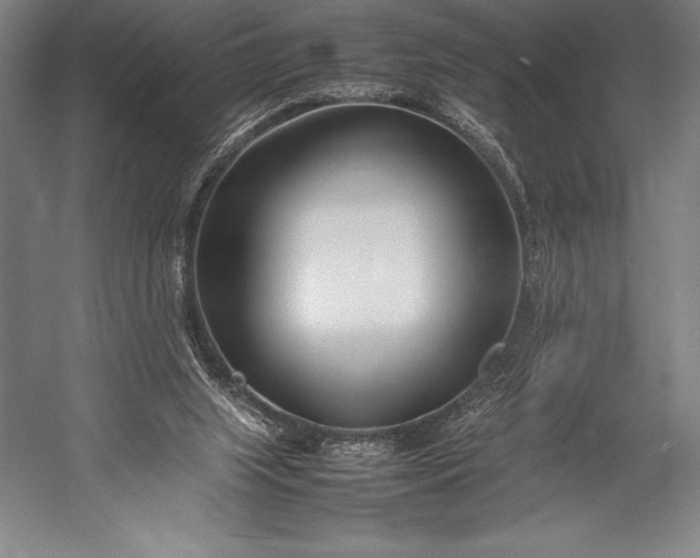 X0000052990063200507221231