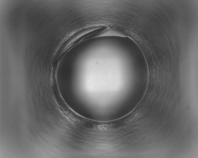 X0000052990064200507221231