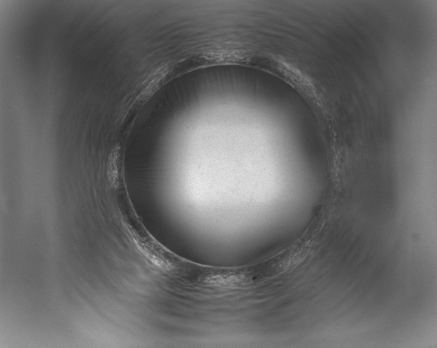 X0000052990065200507221231
