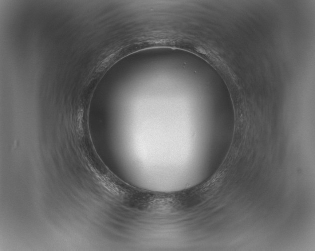 X0000052990066200507221232