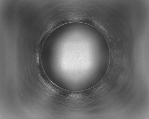 X0000052990067200507221232
