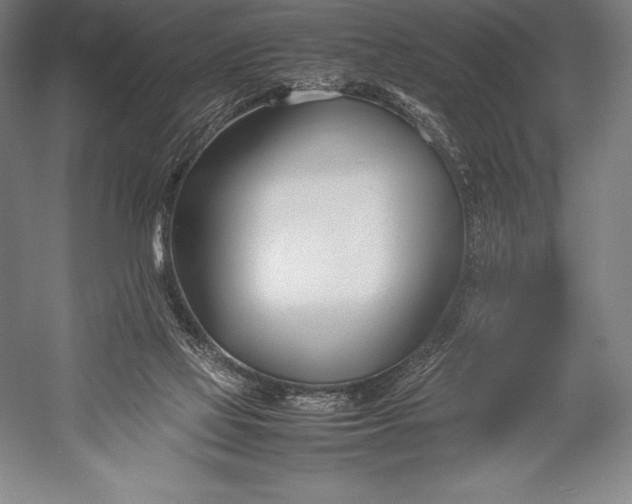 X0000052990069200507221232