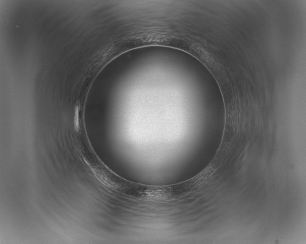 X0000052990070200507221232