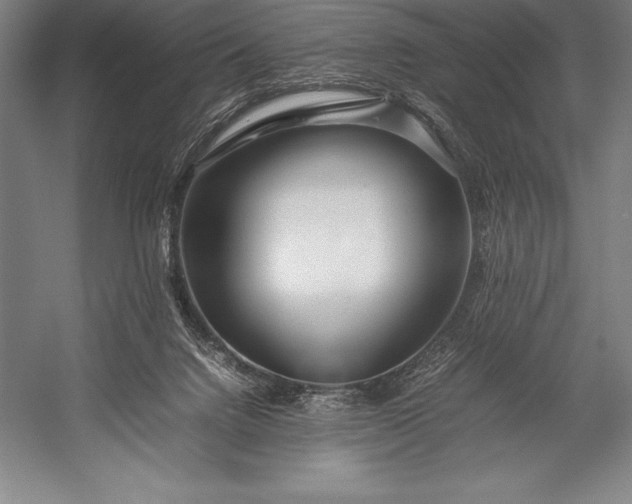 X0000052990072200507221232