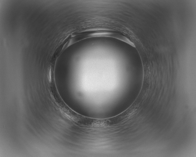 X0000052990076200507221232