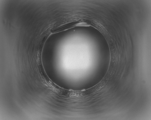 X0000052990077200507221232