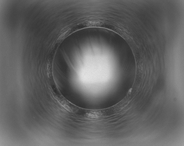 X0000052990079200507221232