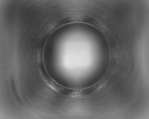 X0000052990080200507221232