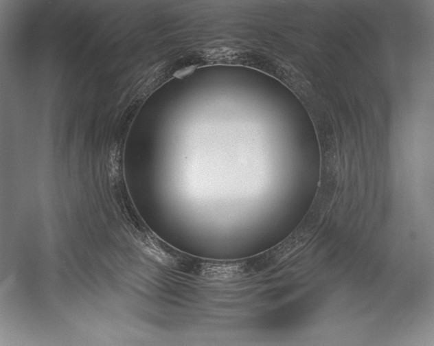 X0000052990081200507221232