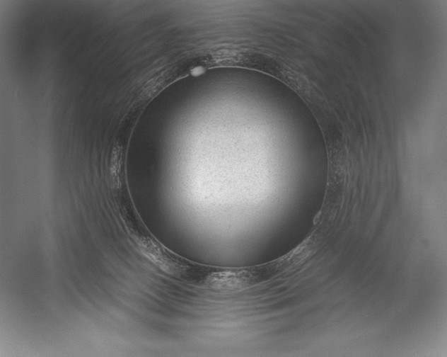 X0000052990082200507221232