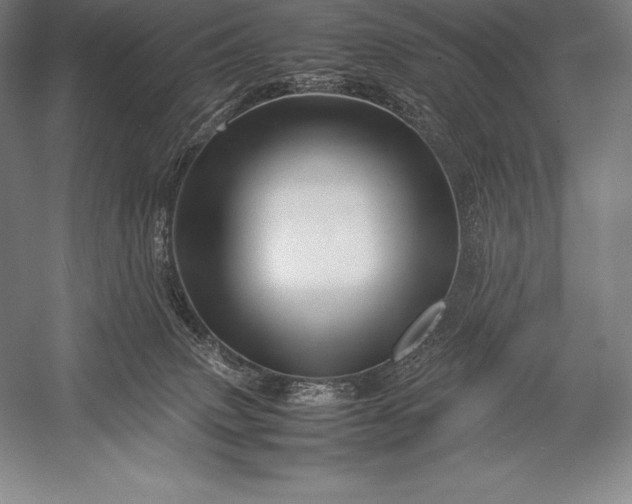 X0000052990083200507221232
