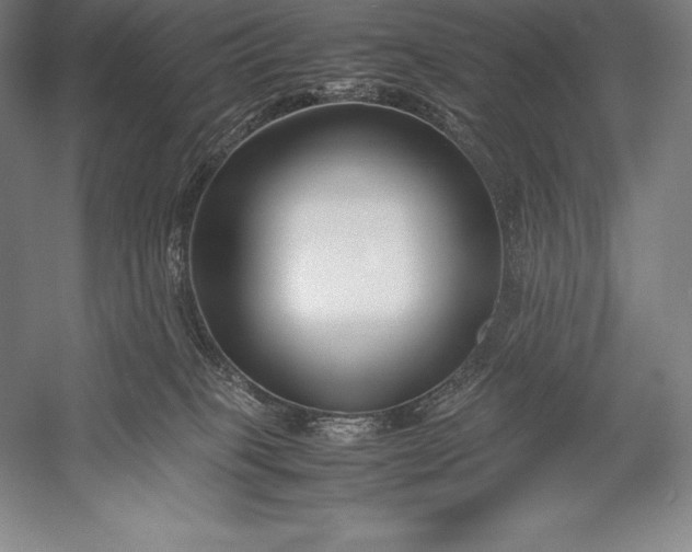 X0000052990085200507221232